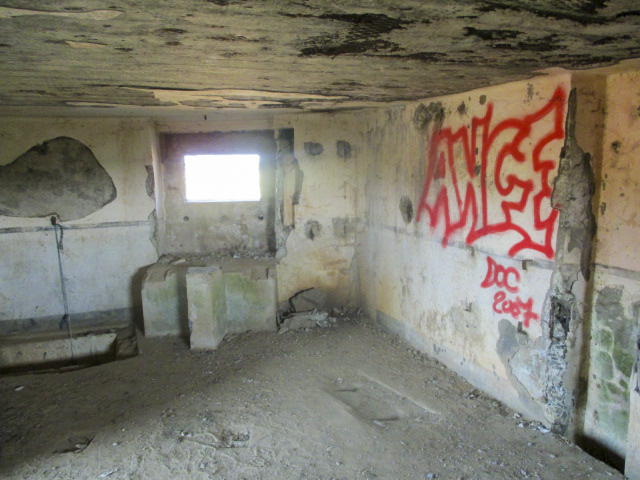 Ligne Maginot - B563 - PETIT CHENE - (Blockhaus pour canon) - 