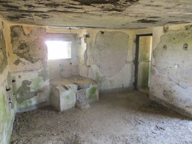 Ligne Maginot - B563 - PETIT CHENE - (Blockhaus pour canon) - 