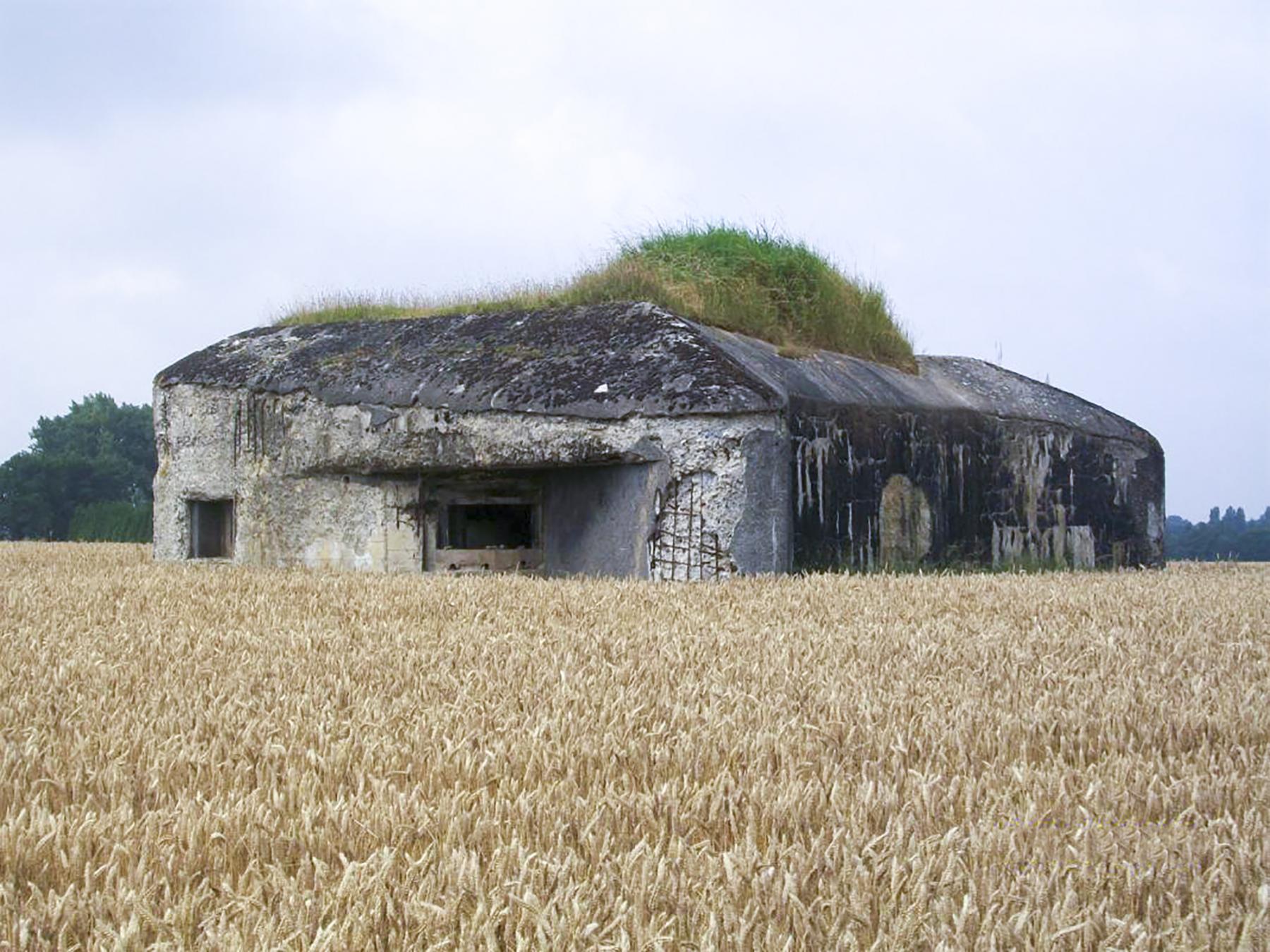 Ligne Maginot - B563 - PETIT CHENE - (Blockhaus pour canon) - 