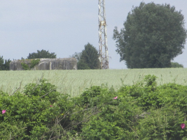 Ligne Maginot - B568bis - PRE-AULNOIS (Blockhaus pour arme infanterie) - Photo prise de la D 932 - Route de Maubeuge.
