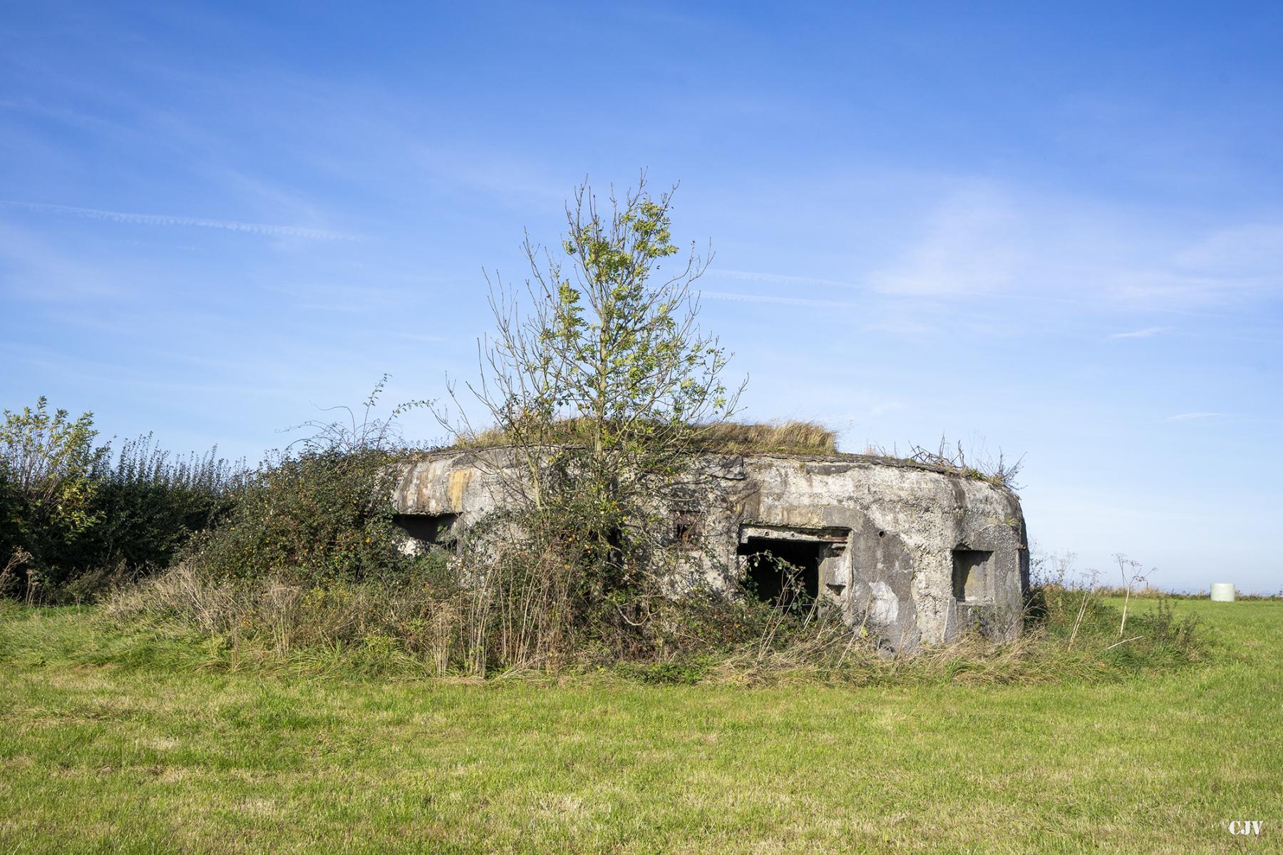 Ligne Maginot - B575 - CHEMIN DE BOIS-MADAME - (Blockhaus pour canon) - 