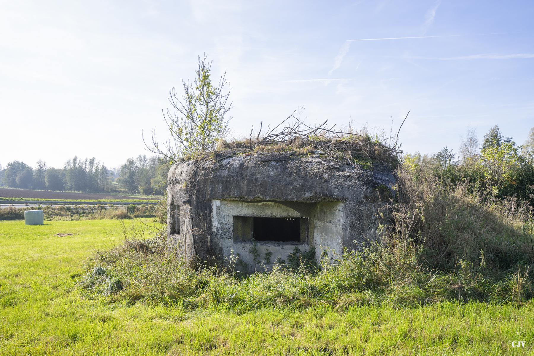 Ligne Maginot - B575 - CHEMIN DE BOIS-MADAME - (Blockhaus pour canon) - 