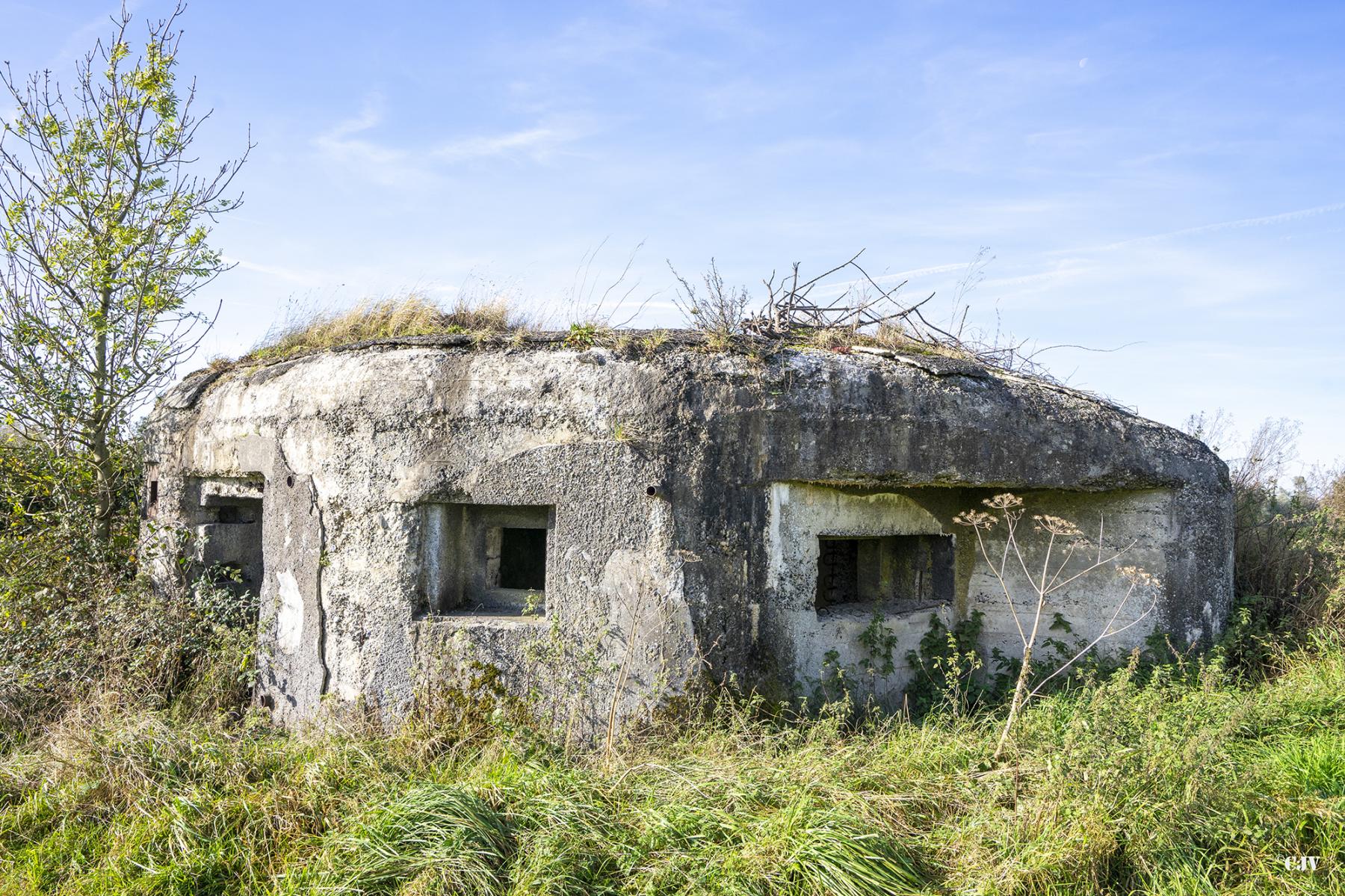 Ligne Maginot - B575 - CHEMIN DE BOIS-MADAME - (Blockhaus pour canon) - 