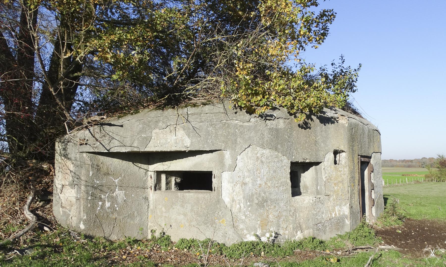Ligne Maginot - B577 - LE GROS CHENE - (Blockhaus pour canon) - 
