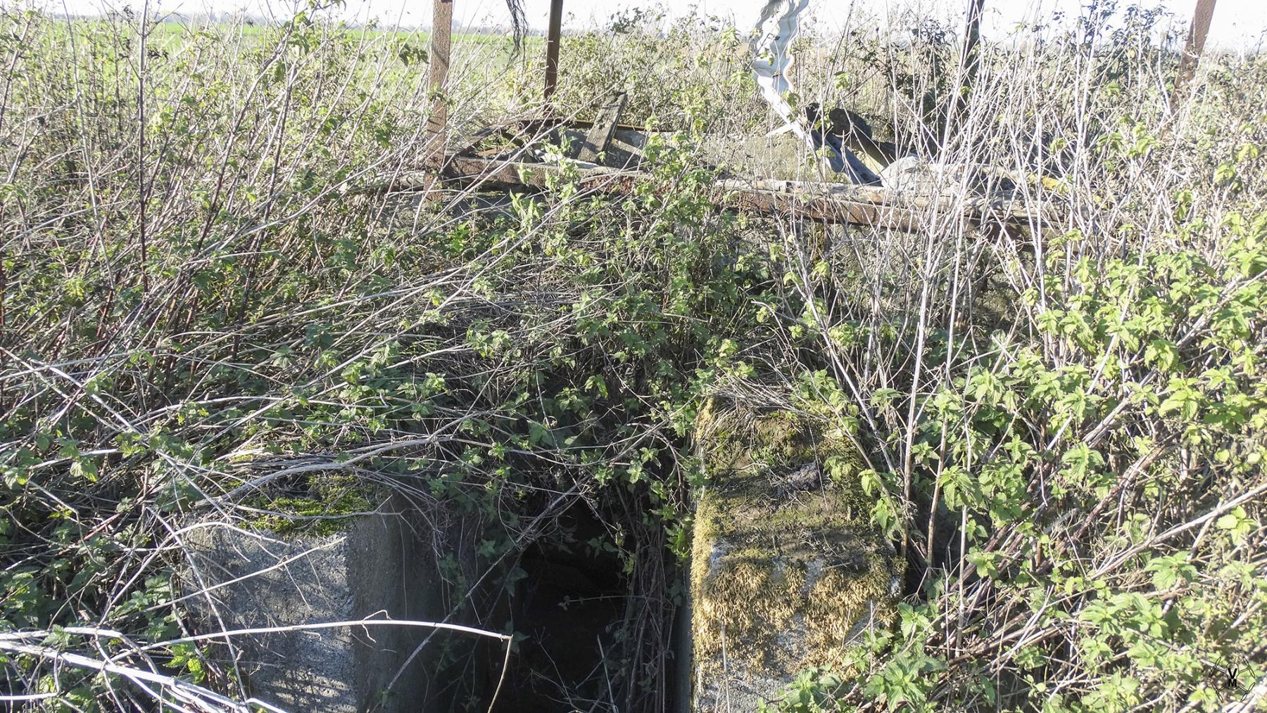 Ligne Maginot - B578 - GROS CHENE - (Observatoire d'artillerie) - 