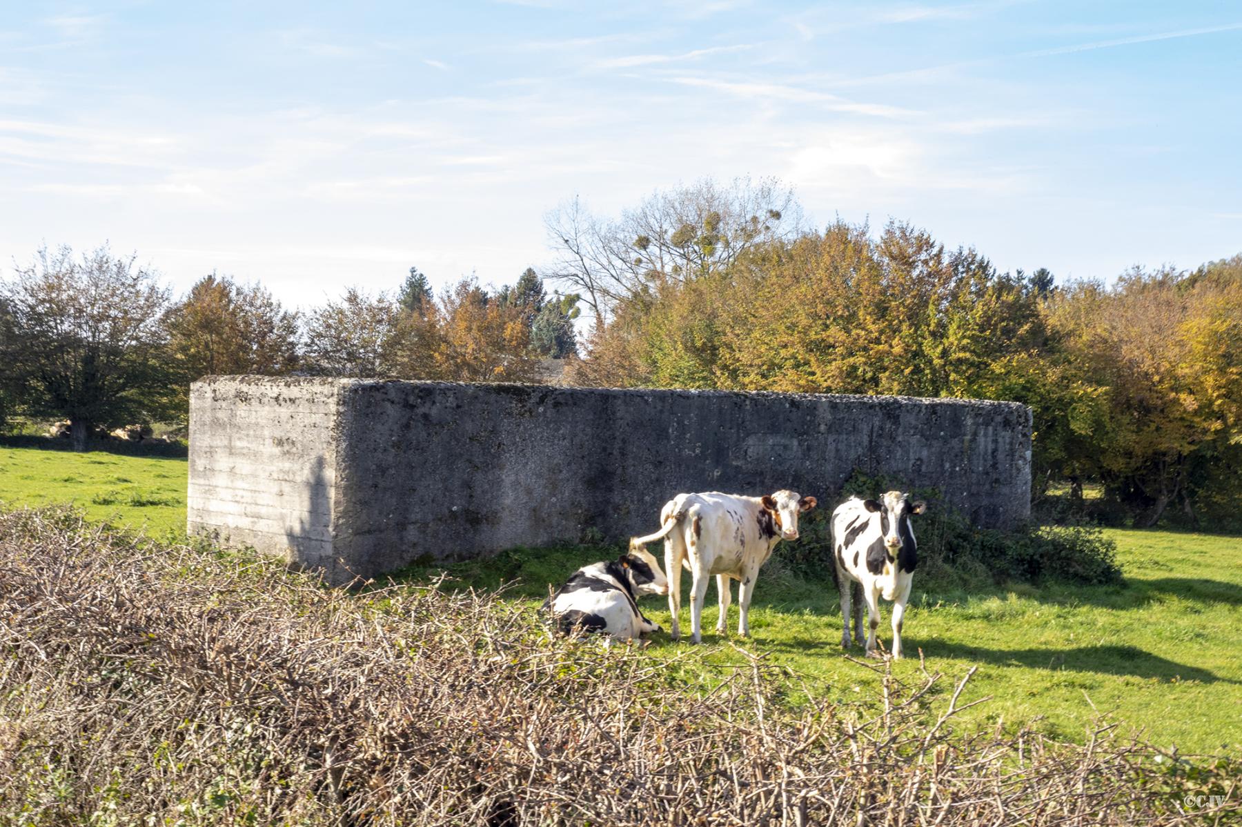 Ligne Maginot - B580 - LES MOTTES - (Abri) - 