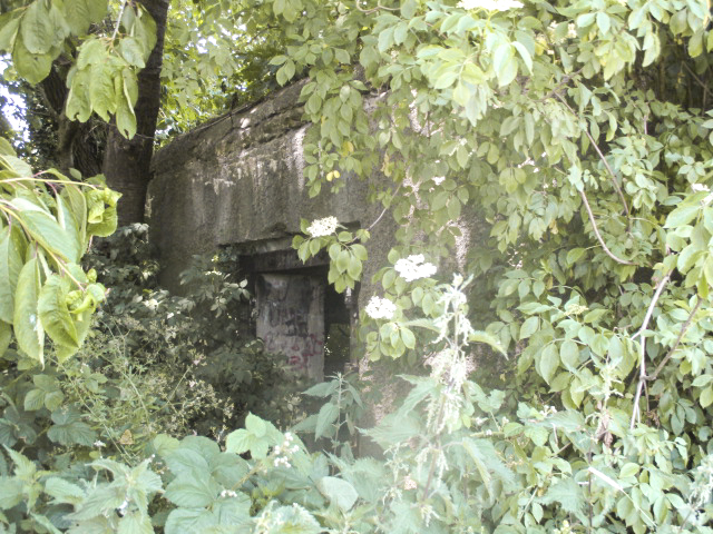 Ligne Maginot - B581 - La MAIN du BOIS (Blockhaus pour canon) - 