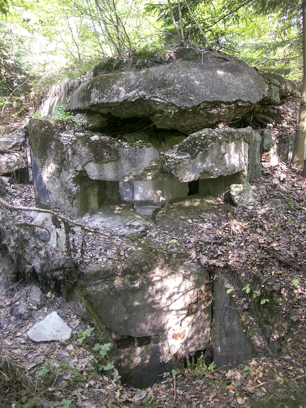 Ligne Maginot - SOMMET DU HOCHWALD 3 - (Blockhaus pour arme infanterie) - La coupole mitrailleuse et sa fosse à douilles
