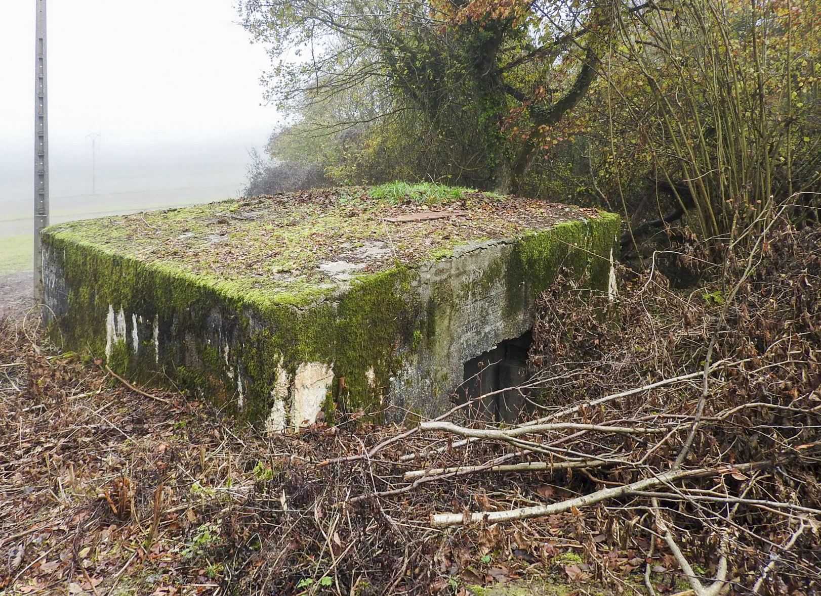 Ligne Maginot - ROUY 2 - (Blockhaus pour canon) - Vue de l'entrée du matériel