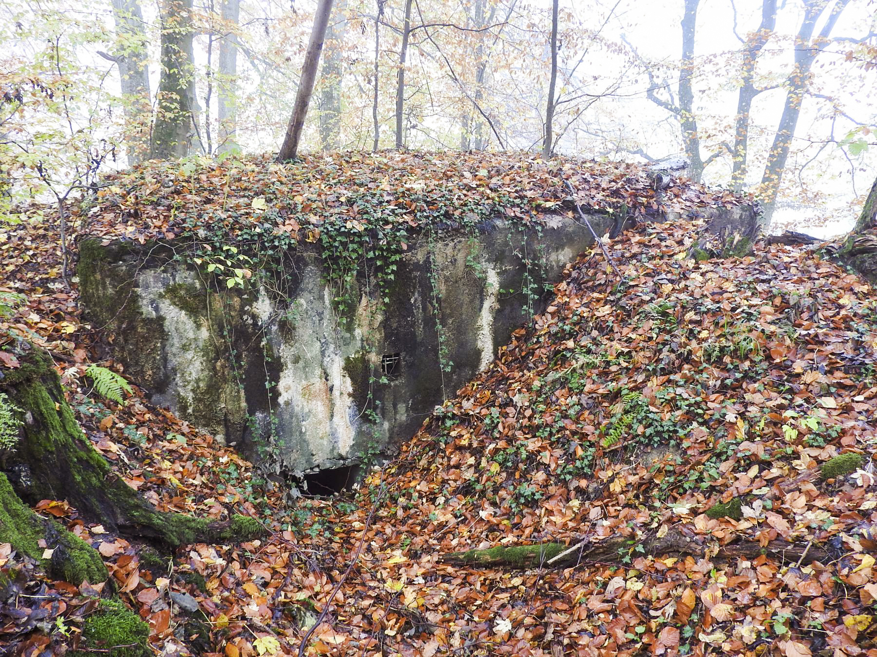 Ligne Maginot - STOCKEN 5 - (Blockhaus pour canon) - L'entrée latérale est remblayée.