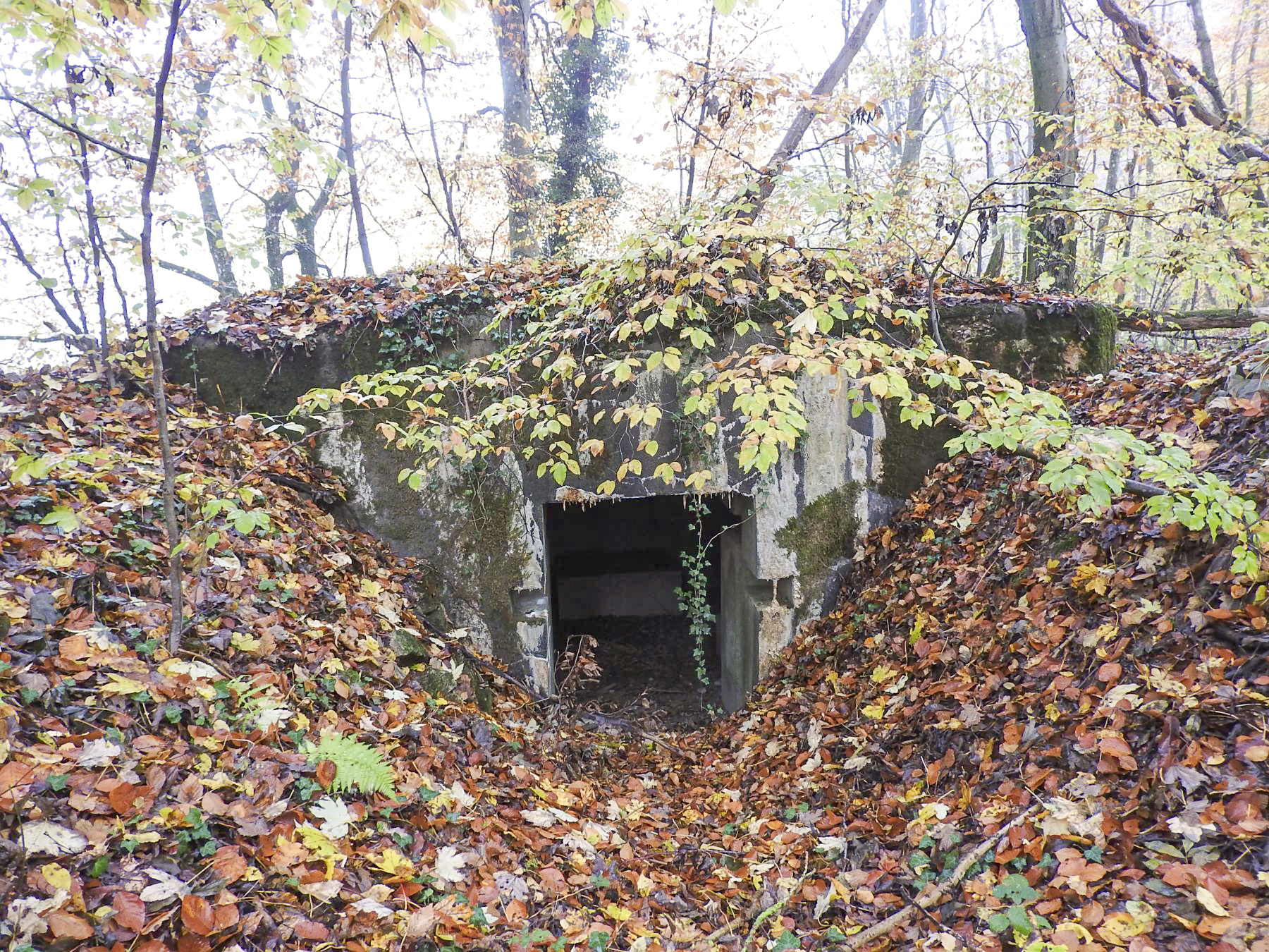 Ligne Maginot - STOCKEN 5 - (Blockhaus pour canon) - L'entrée matériel.
