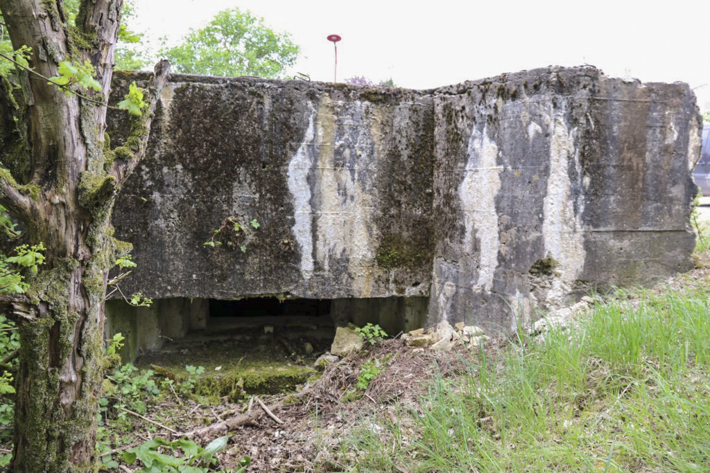 Ligne Maginot - GROSSEN FELD Est -  - Alain Perouffe