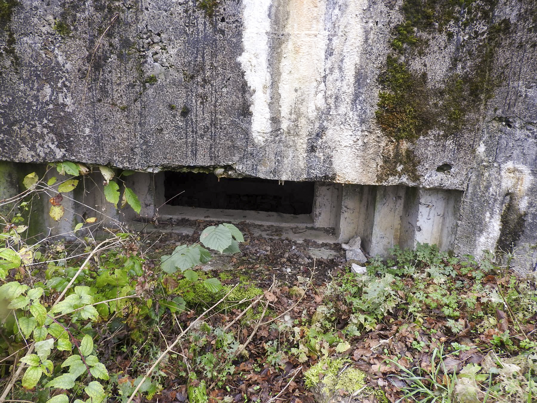 Ligne Maginot - GROSSEN FELD EST - (Blockhaus pour canon) - L'embrasure. - STENGER Mathieu