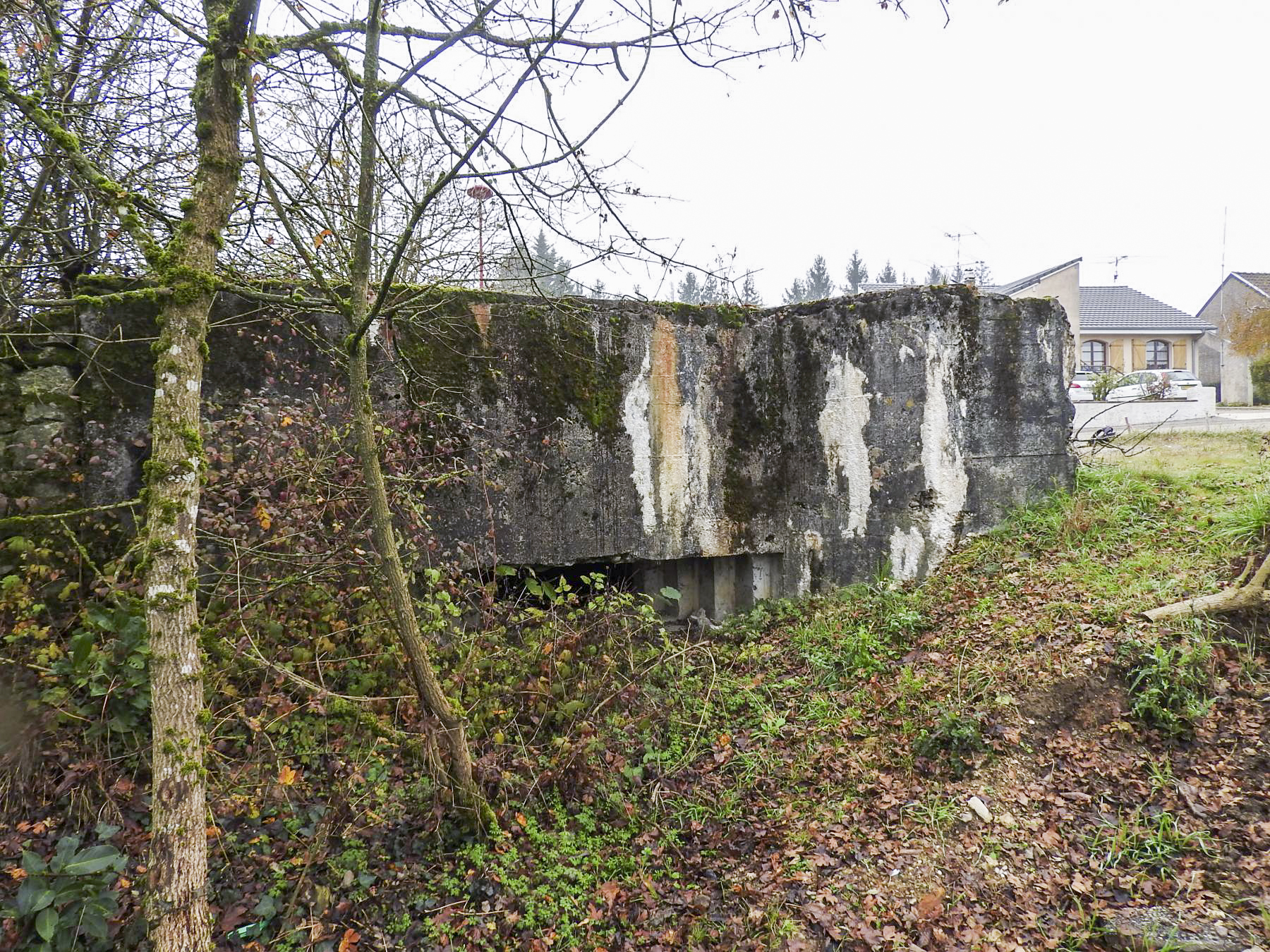 Ligne Maginot - GROSSEN FELD EST - (Blockhaus pour canon) - Le blockhaus  - STENGER Mathieu