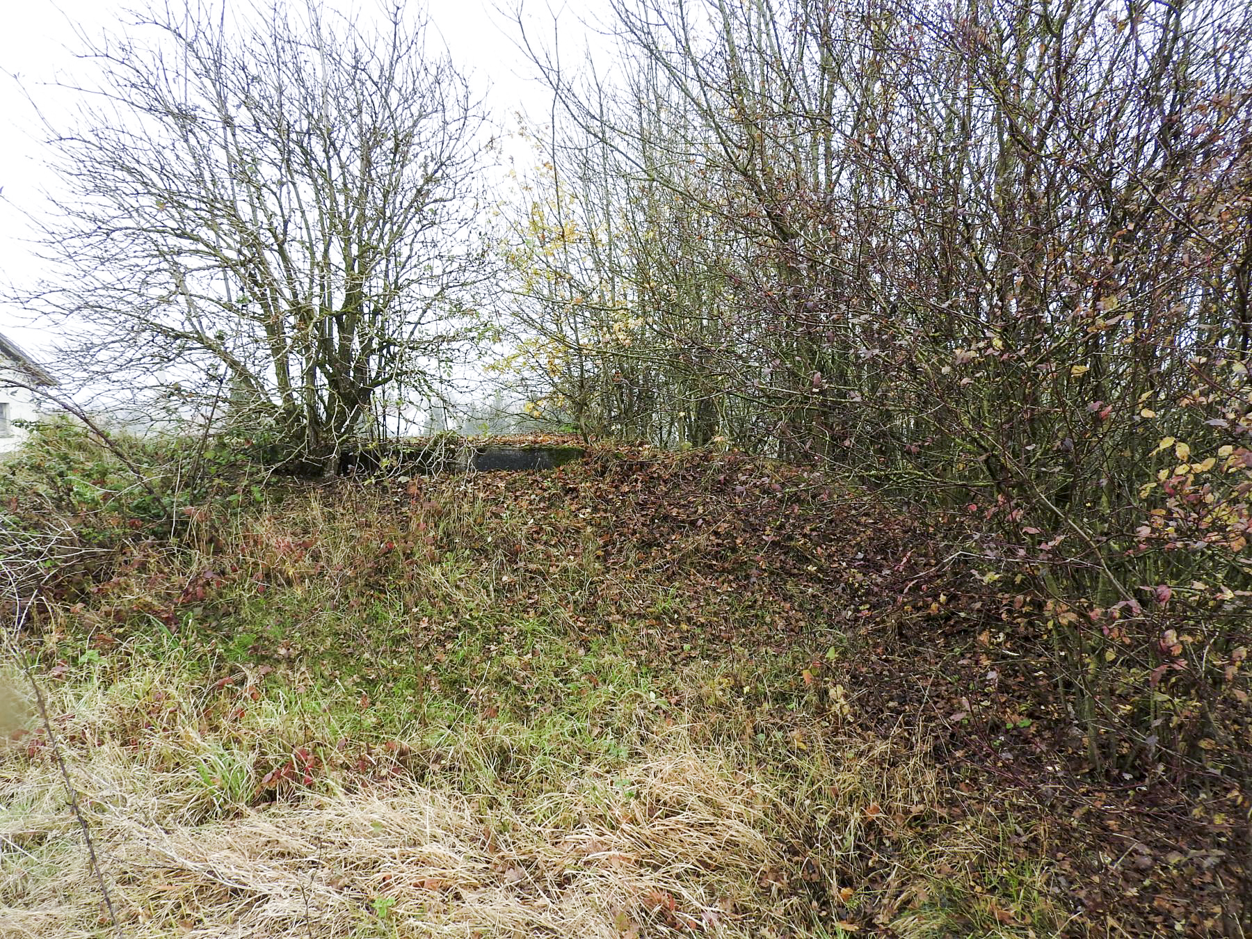 Ligne Maginot - GROSSEN FELD EST - (Blockhaus pour canon) - L'arrière remblayé. - STENGER Mathieu