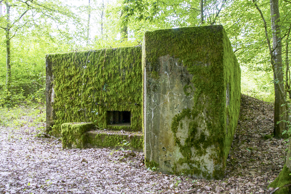Ligne Maginot - CB310 - ZEITERHOLZ - (Blockhaus pour arme infanterie) - 
