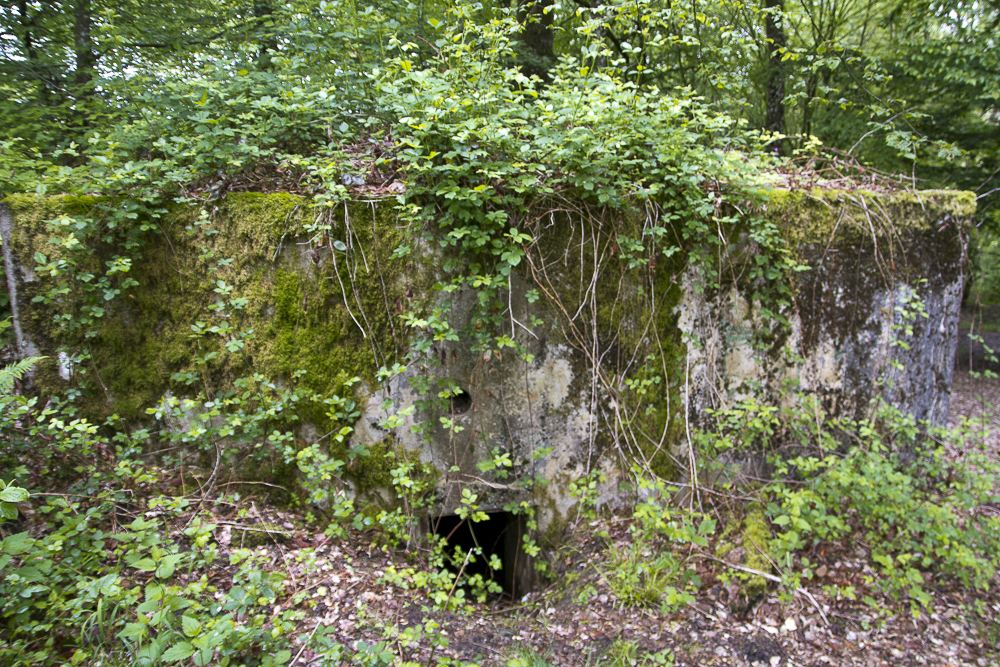 Ligne Maginot - CB310 - ZEITERHOLZ - (Blockhaus pour arme infanterie) - 