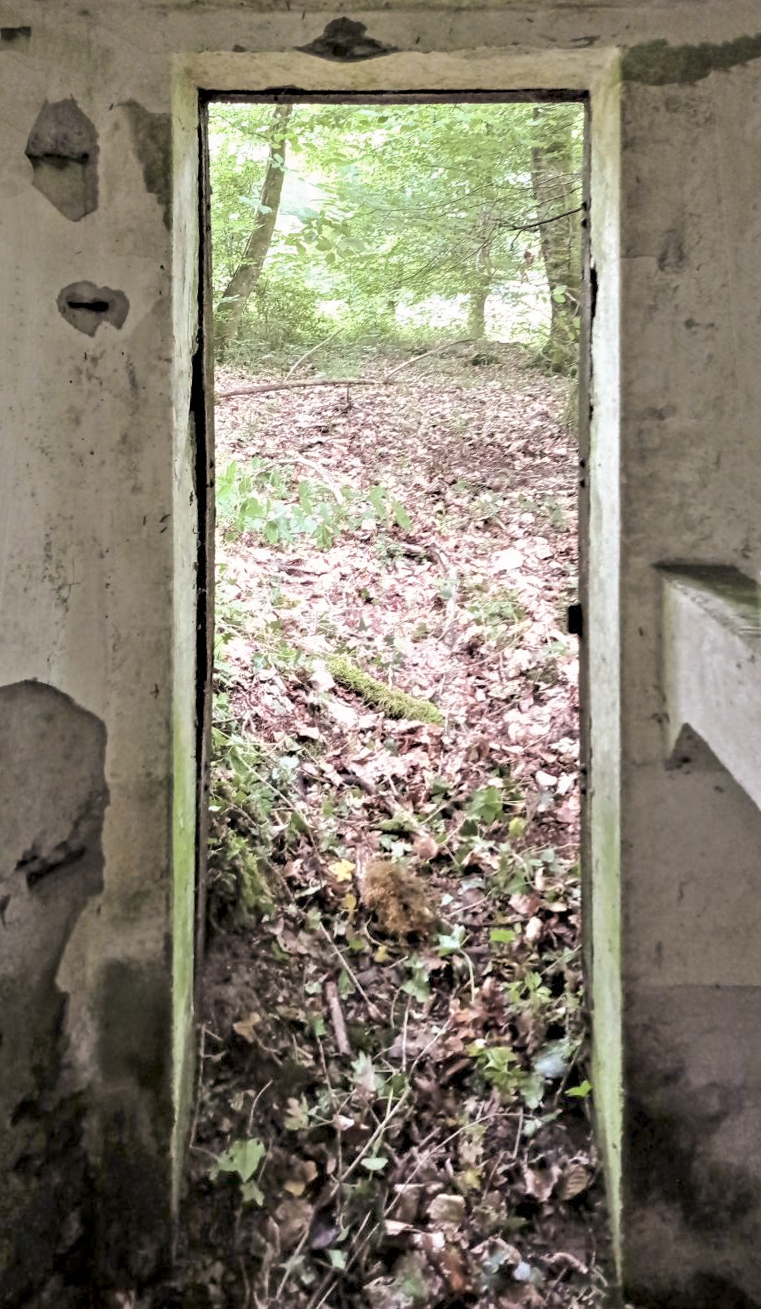 Ligne Maginot - FM14 - VERLORENERBACH 2 - (Blockhaus pour arme infanterie) - L'entrée