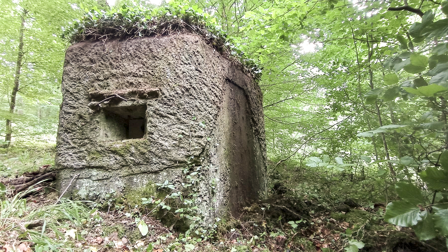 Ligne Maginot - FM14 - VERLORENERBACH 2 - (Blockhaus pour arme infanterie) - Créneau Nord-Est