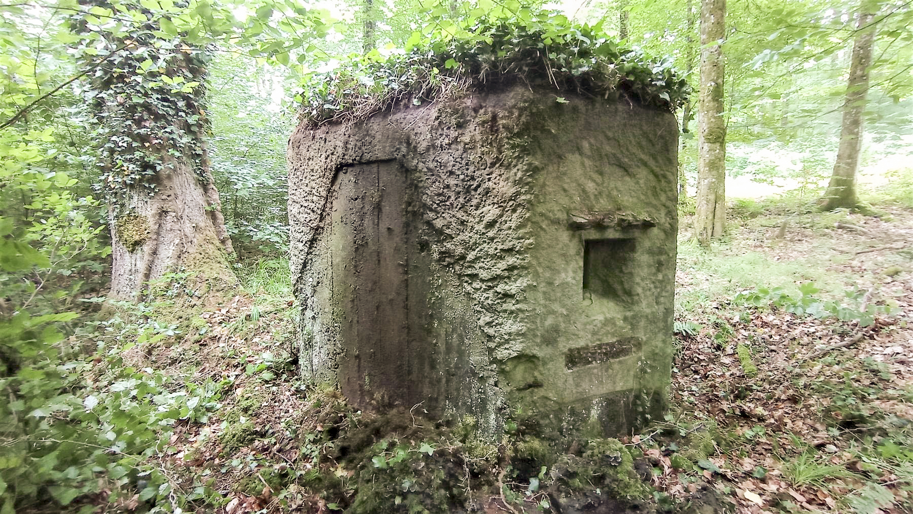 Ligne Maginot - FM14 - VERLORENERBACH 2 - (Blockhaus pour arme infanterie) - Façade frontale et Créneau Nord-Ouest