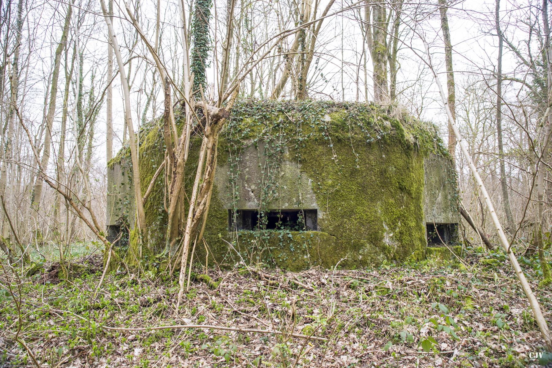Ligne Maginot - B588 - BOIS DES LANIERES 1 - (Blockhaus pour canon) - 