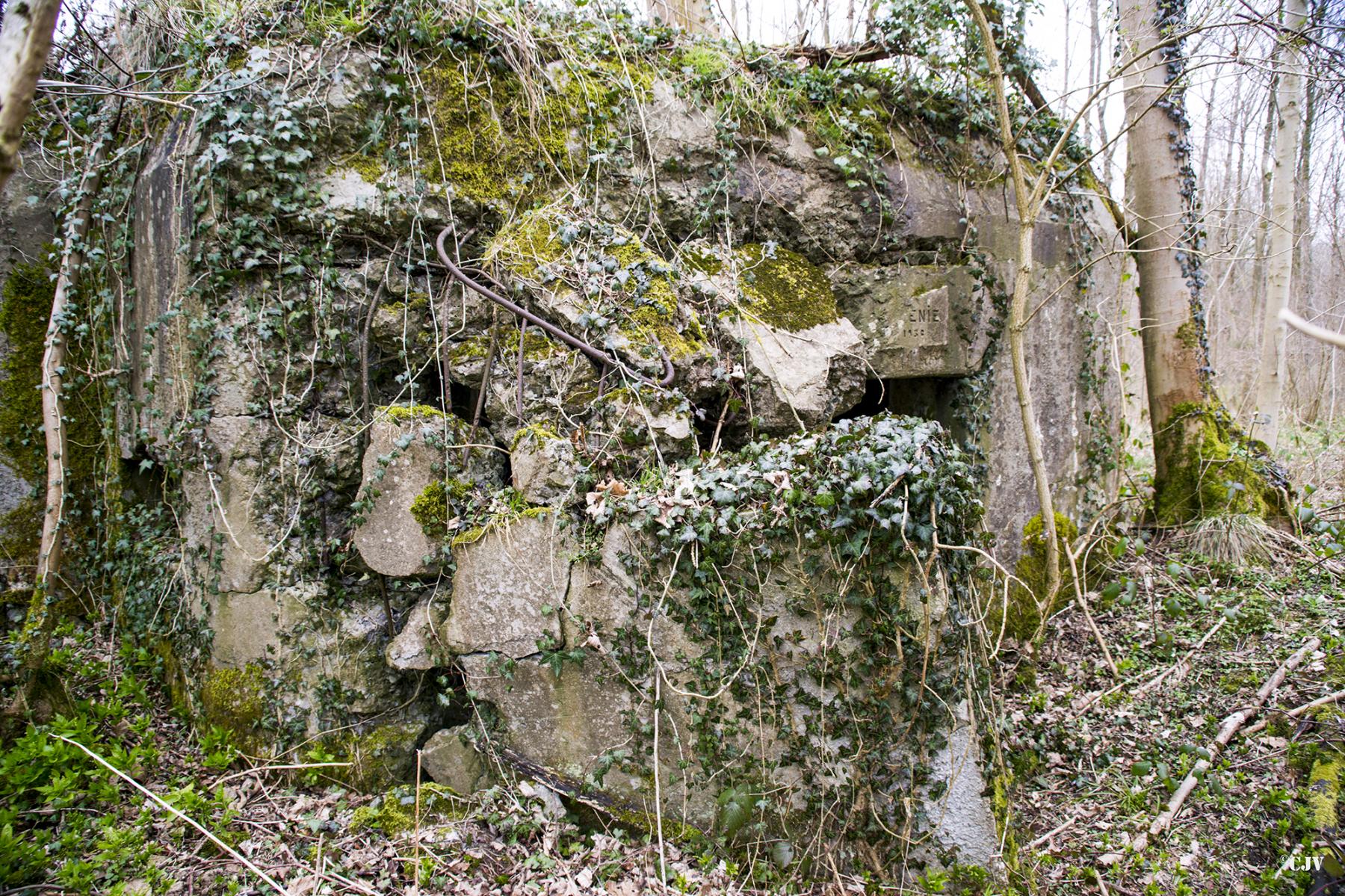 Ligne Maginot - B588 - BOIS DES LANIERES 1 - (Blockhaus pour canon) - 
