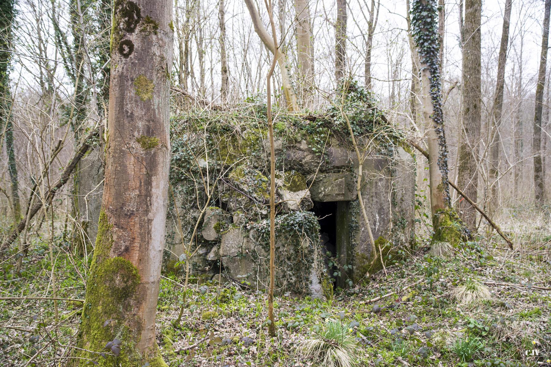 Ligne Maginot - B588 - BOIS DES LANIERES 1 - (Blockhaus pour canon) - 