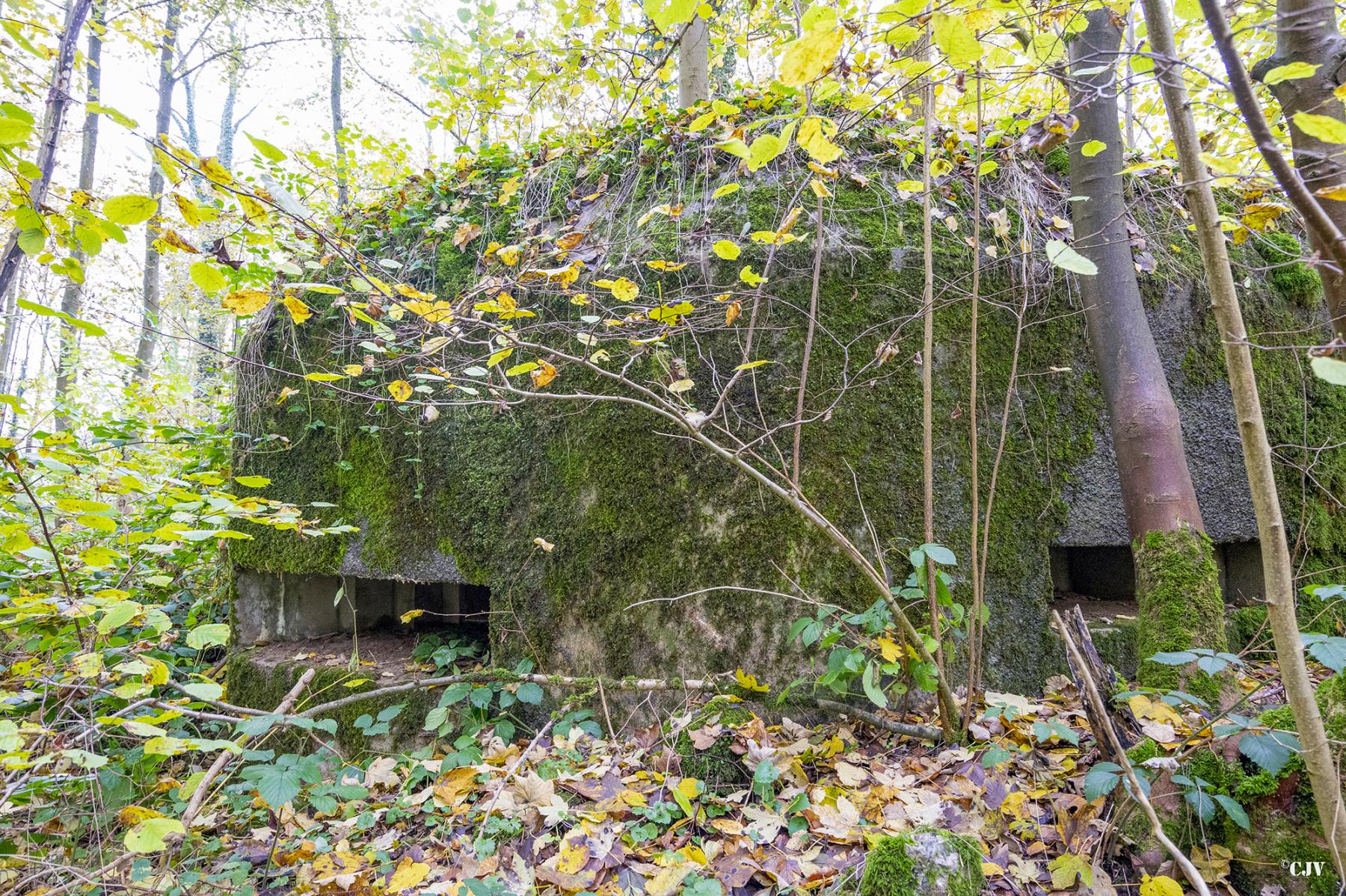 Ligne Maginot - B589 - BOIS DES LANIERES 2 - (Blockhaus pour canon) - 