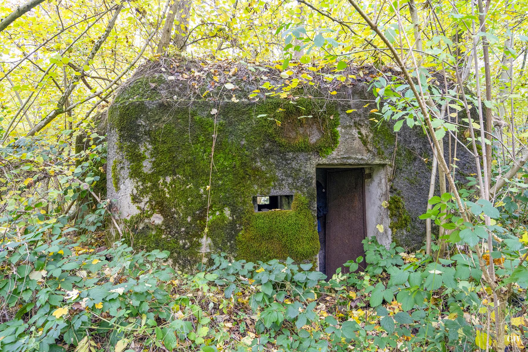Ligne Maginot - B589 - BOIS DES LANIERES 2 - (Blockhaus pour canon) - 