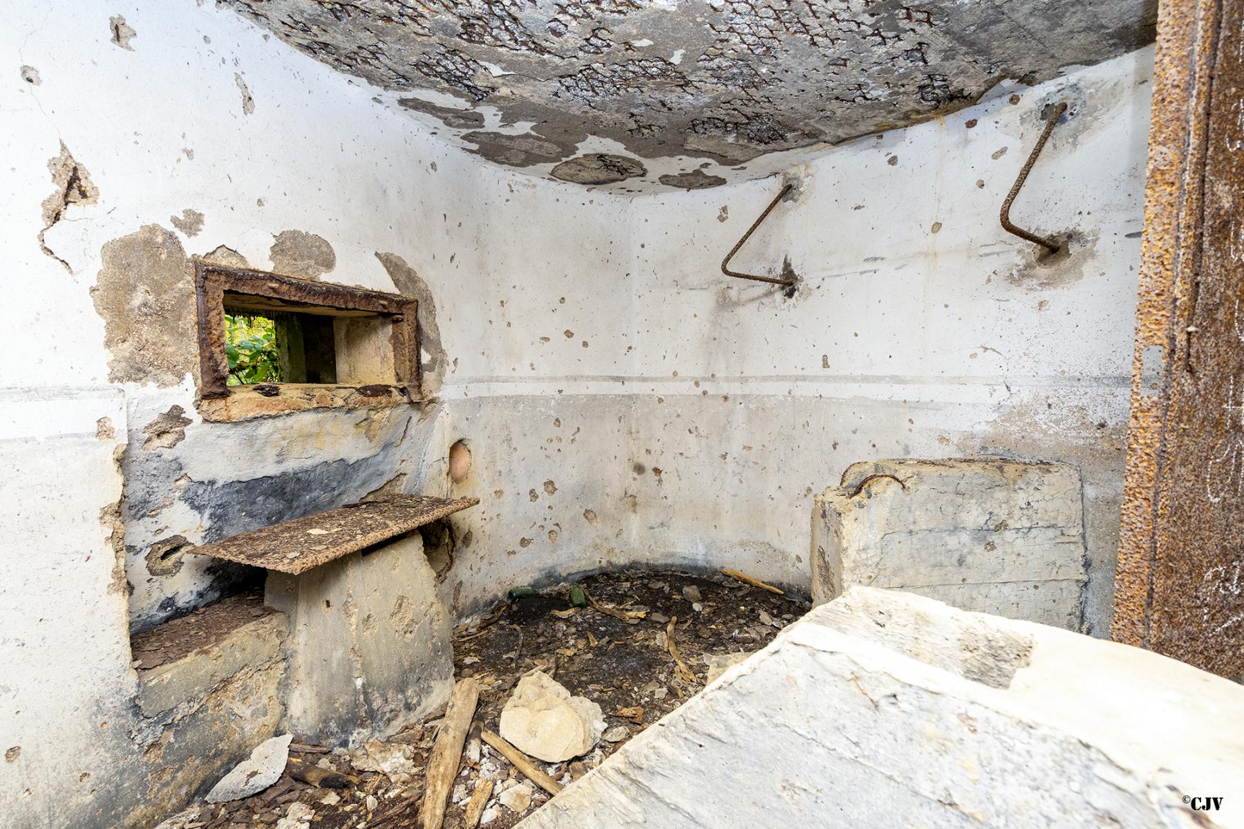 Ligne Maginot - B589 - BOIS DES LANIERES 2 - (Blockhaus pour canon) - 