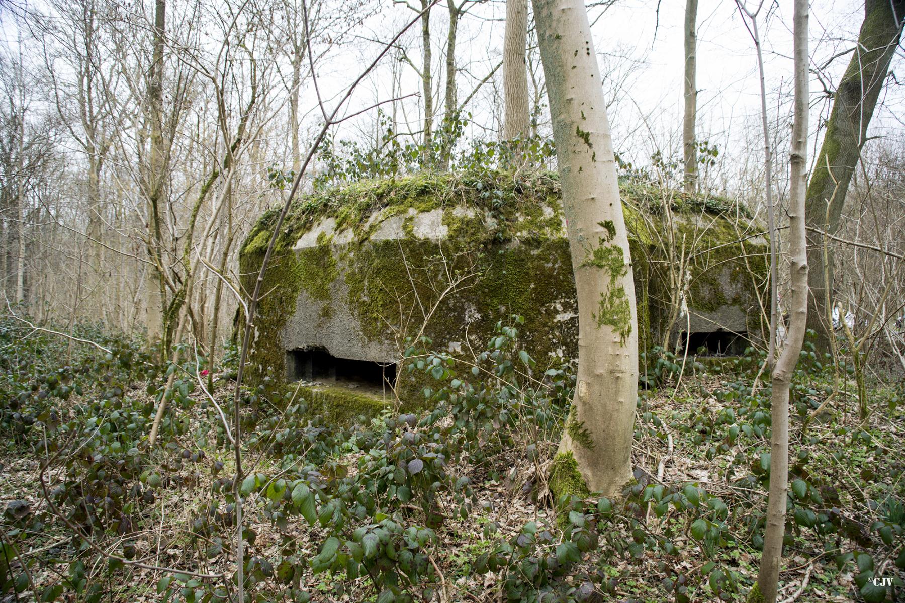 Ligne Maginot - B590 - BOIS DES LANIERES 3 - (Blockhaus pour canon) - 