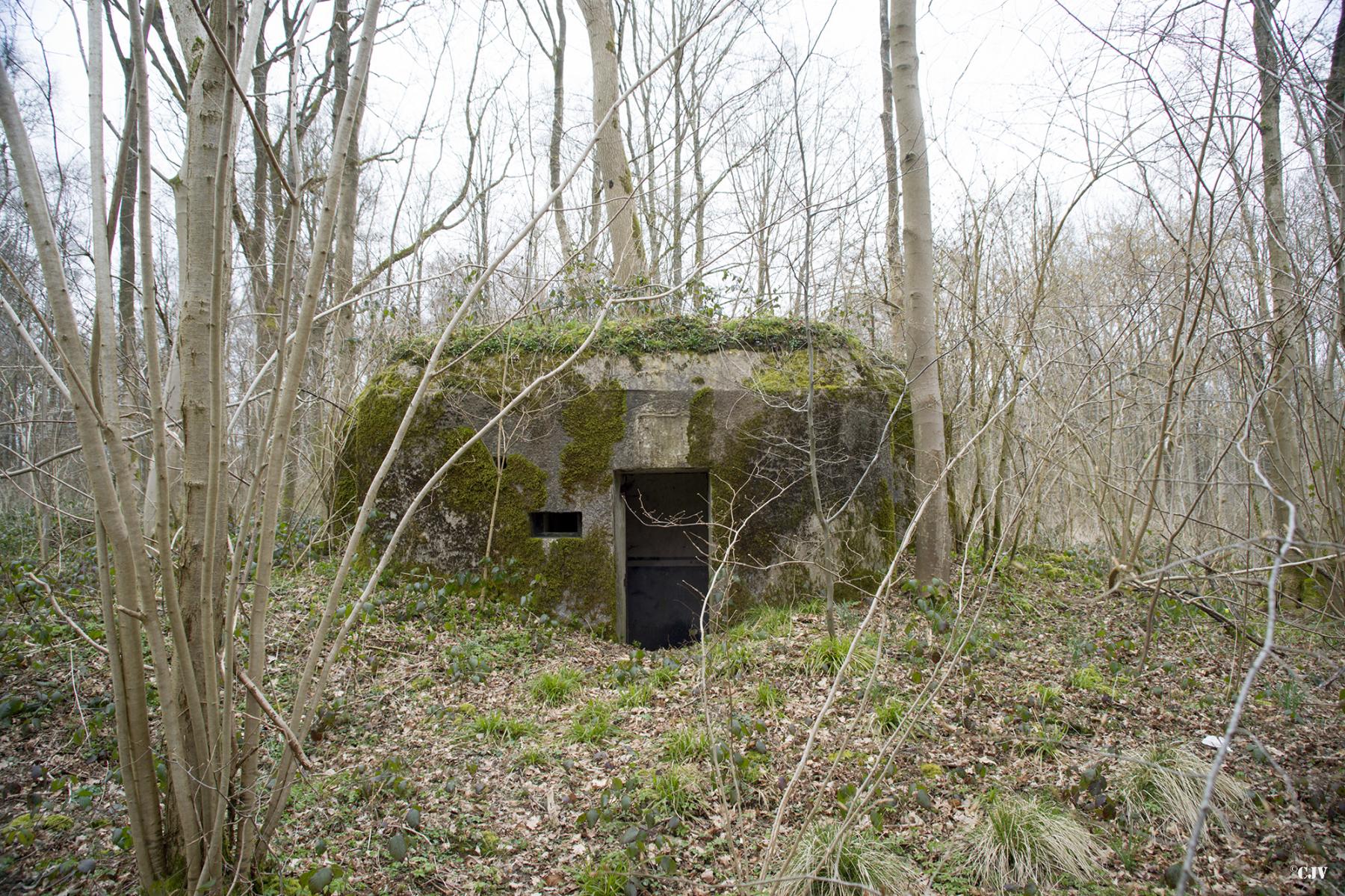 Ligne Maginot - B590 - BOIS DES LANIERES 3 - (Blockhaus pour canon) - 