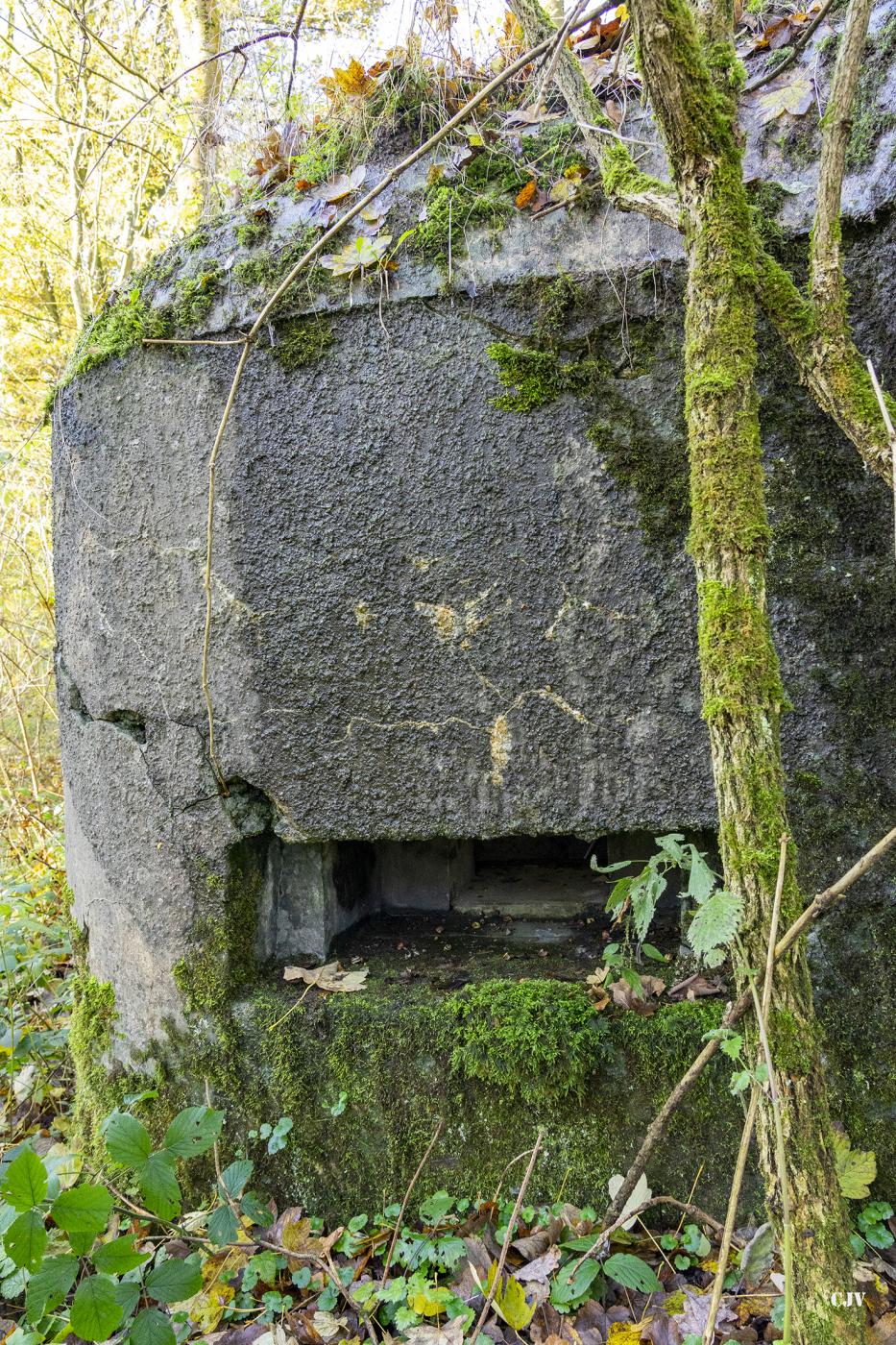 Ligne Maginot - B592 - BOIS DES LANIERES 4 - (Blockhaus pour canon) - 