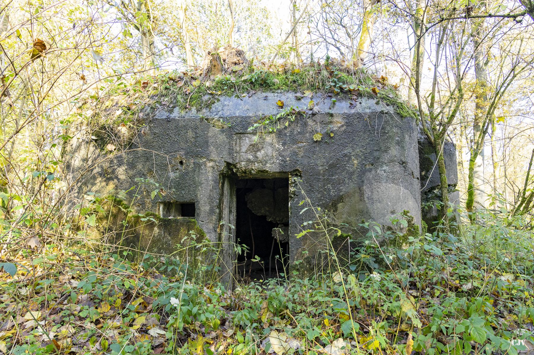 Ligne Maginot - B592 - BOIS DES LANIERES 4 - (Blockhaus pour canon) - 