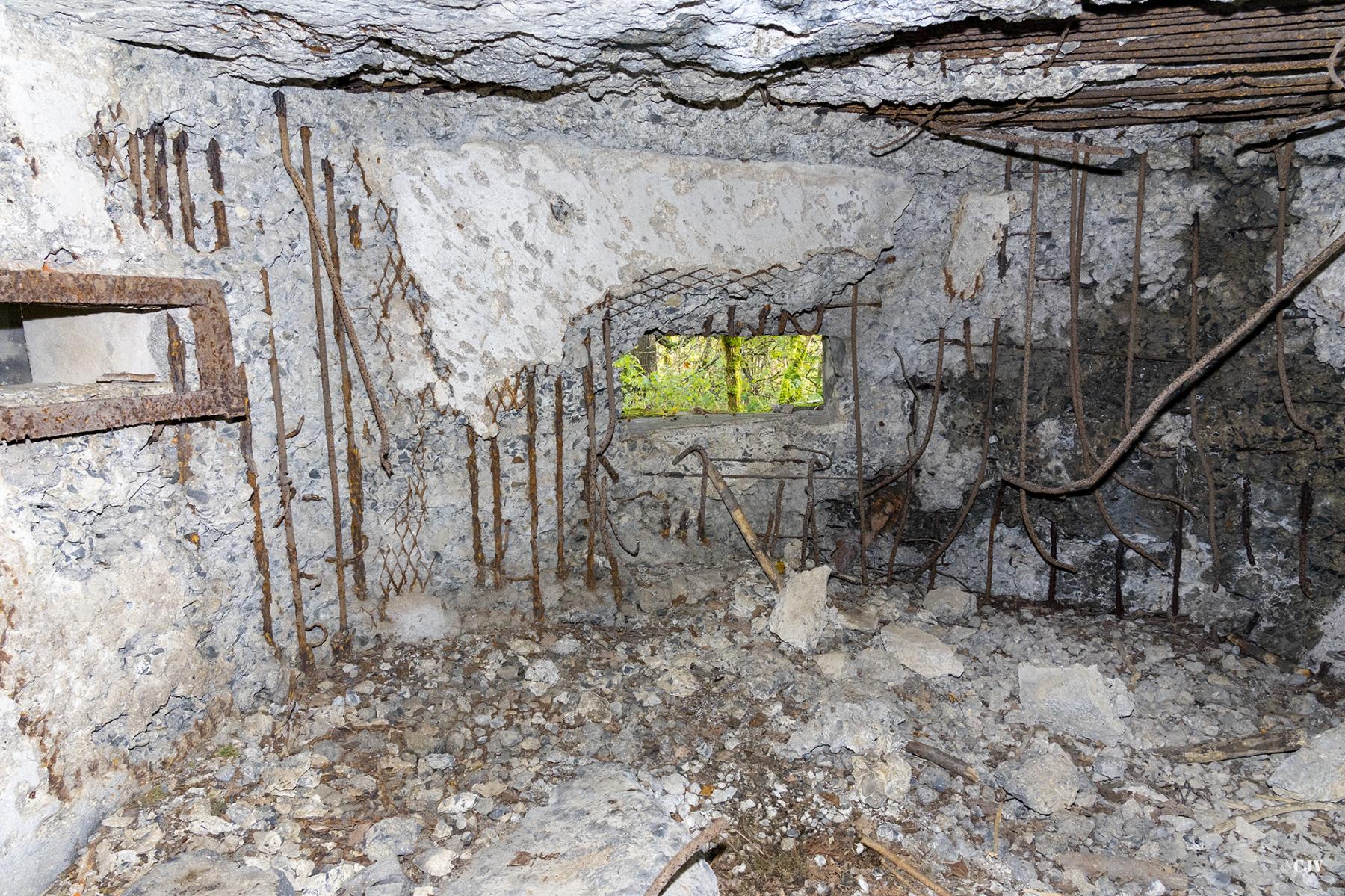 Ligne Maginot - B592 - BOIS DES LANIERES 4 - (Blockhaus pour canon) - 