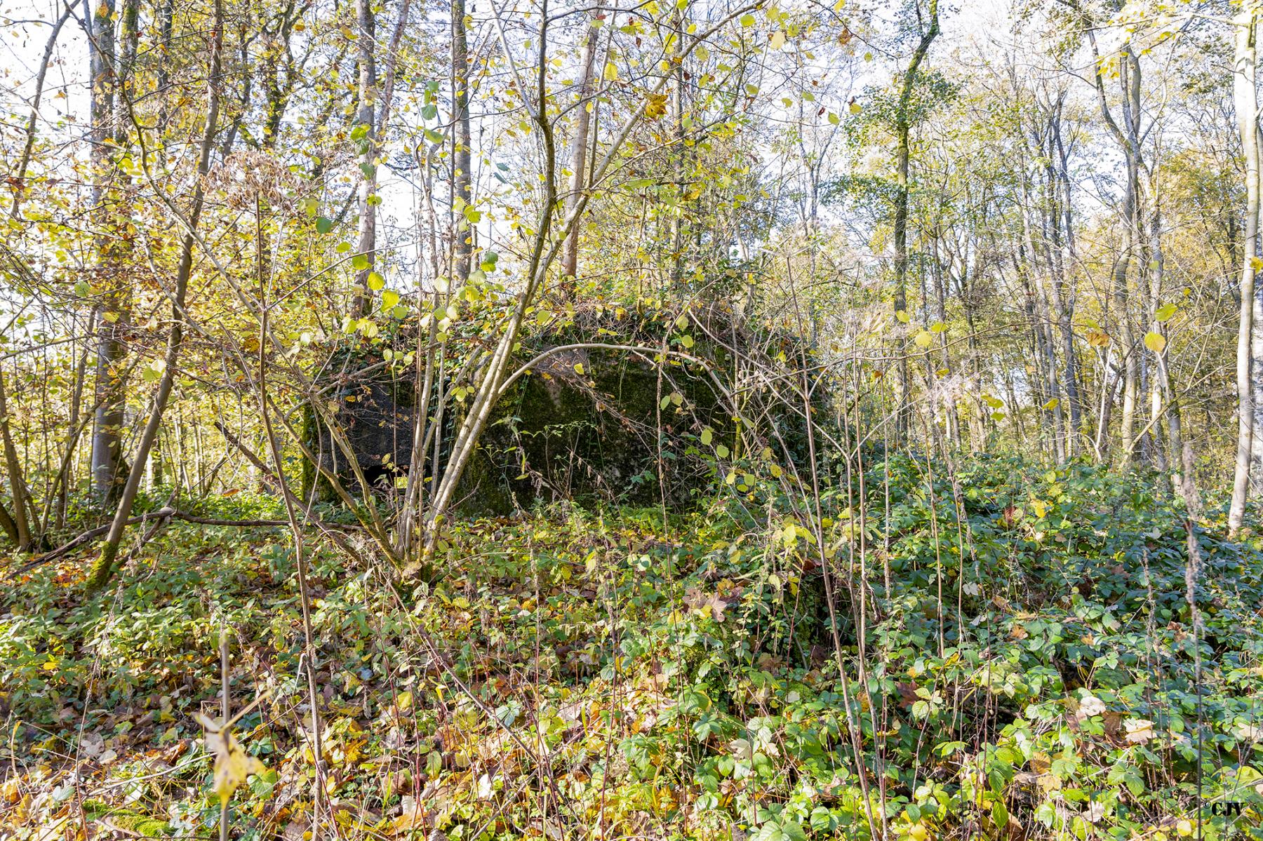 Ligne Maginot - B594 - BOIS DES LANIERES 6 - (Blockhaus pour canon) - 