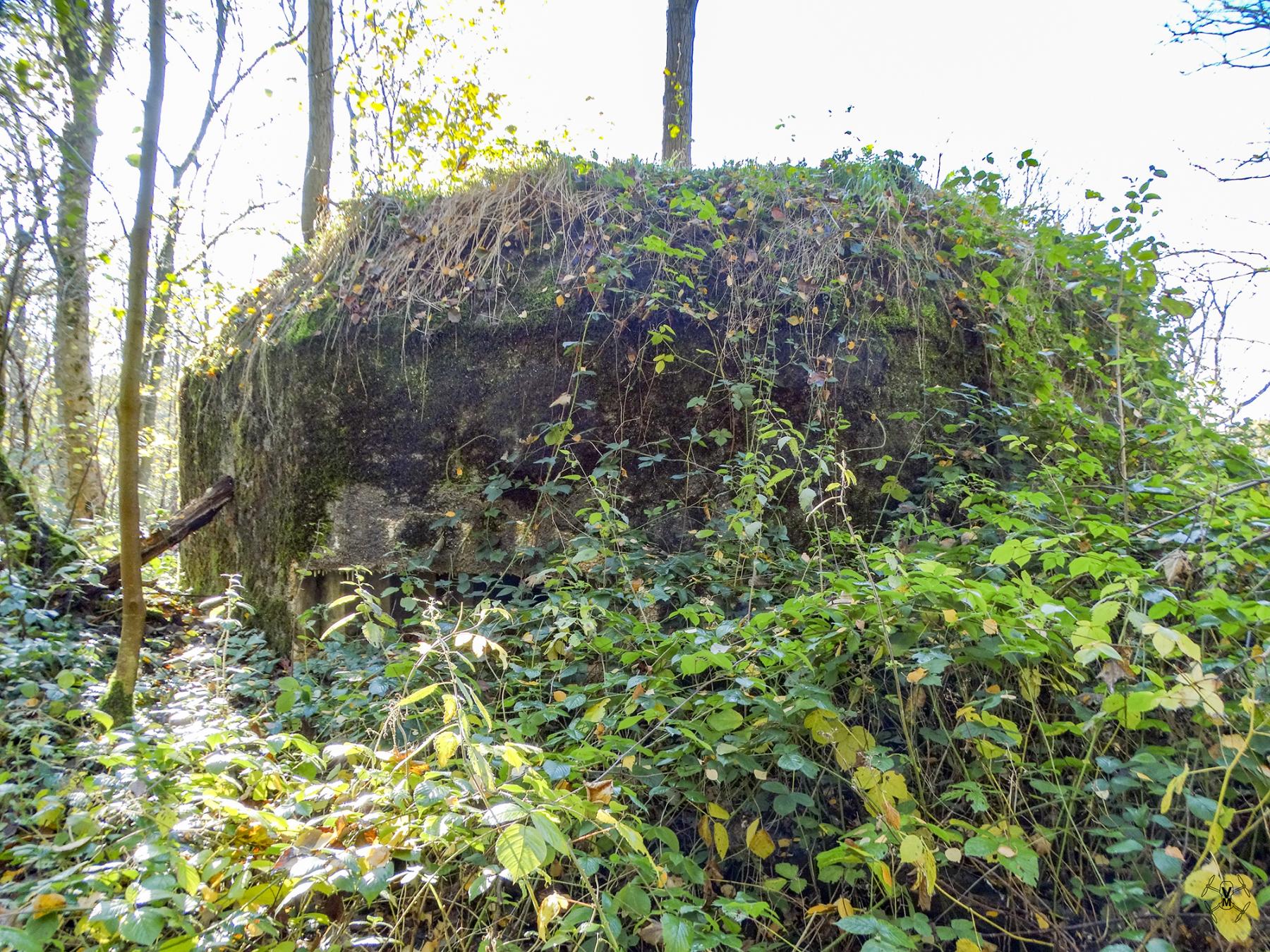 Ligne Maginot - B595 - BOIS DES LANIERES 7 - (Blockhaus pour canon) - 