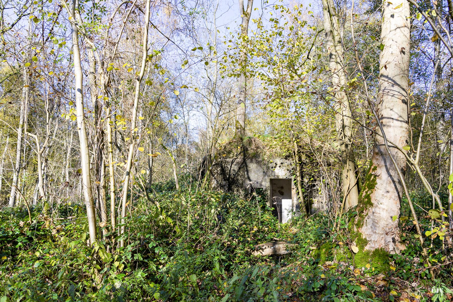 Ligne Maginot - B595 - BOIS DES LANIERES 7 - (Blockhaus pour canon) - 