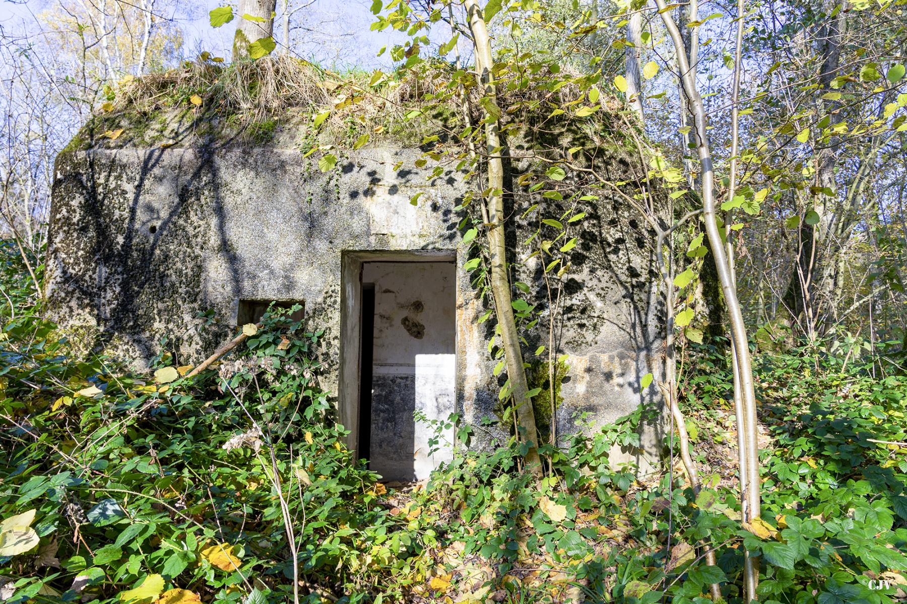 Ligne Maginot - B595 - BOIS DES LANIERES 7 - (Blockhaus pour canon) - 