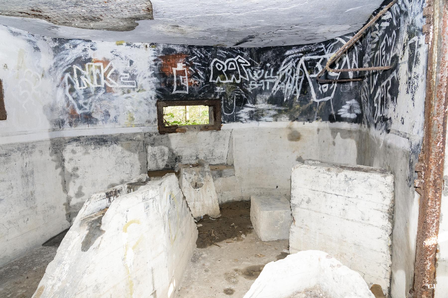 Ligne Maginot - B595 - BOIS DES LANIERES 7 - (Blockhaus pour canon) - 
