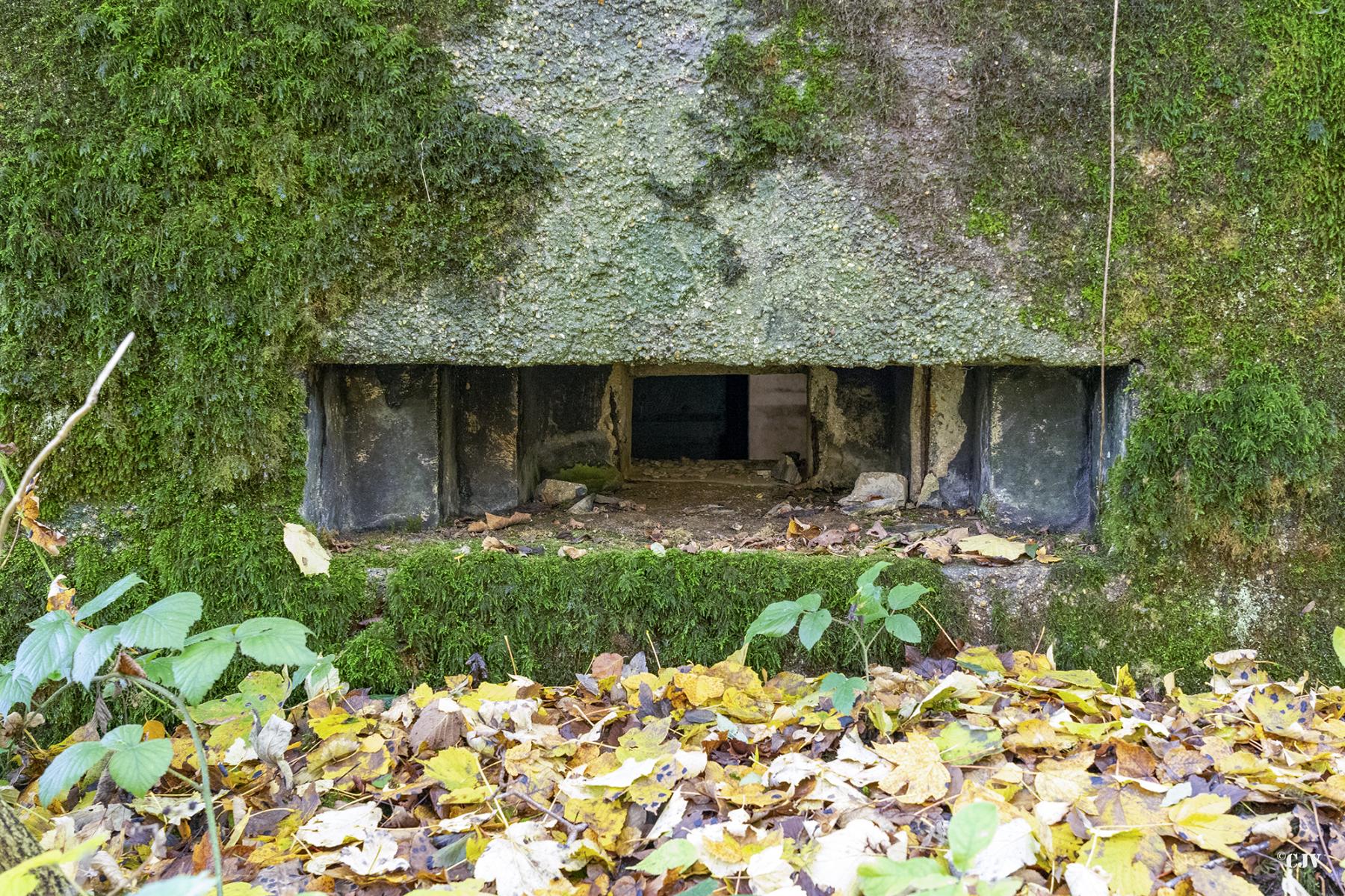 Ligne Maginot - B596 - BOIS DES LANIERES 8 - (Blockhaus pour canon) - 