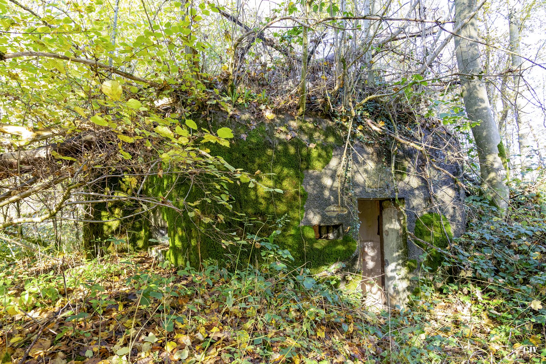 Ligne Maginot - B596 - BOIS DES LANIERES 8 - (Blockhaus pour canon) - 