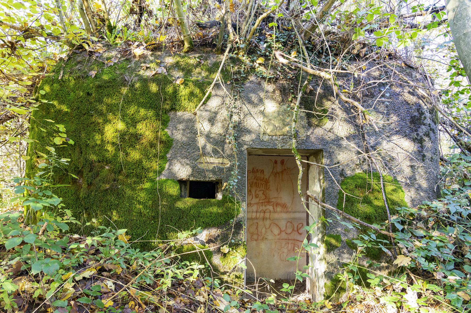 Ligne Maginot - B596 - BOIS DES LANIERES 8 - (Blockhaus pour canon) - 