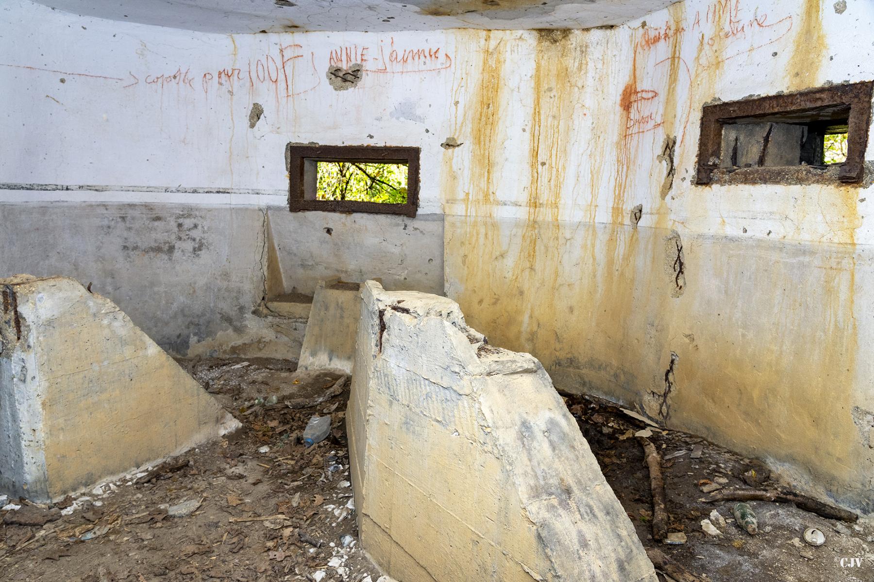 Ligne Maginot - B596 - BOIS DES LANIERES 8 - (Blockhaus pour canon) -  - Lia VERMEULEN