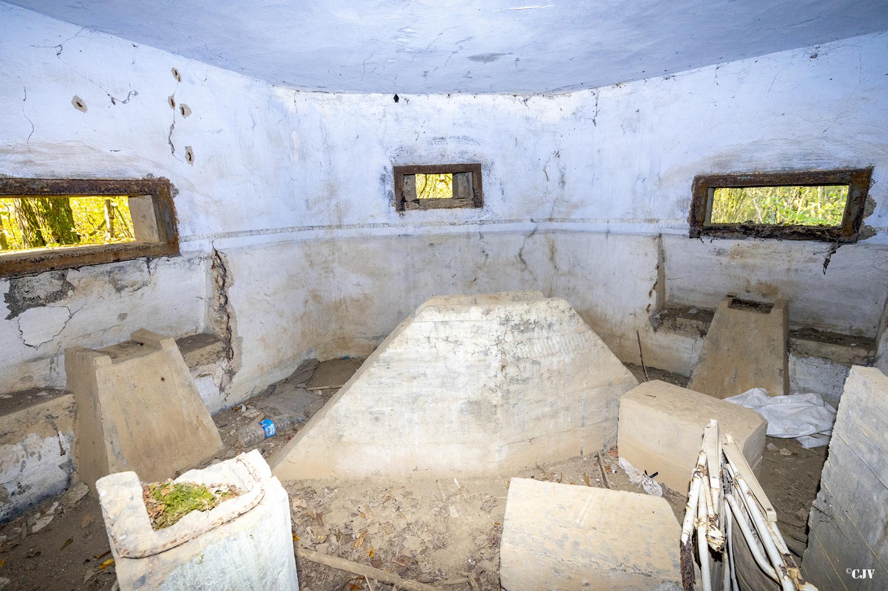 Ligne Maginot - B597 - BOIS DES LANIERES 9 - (Blockhaus pour canon) - 