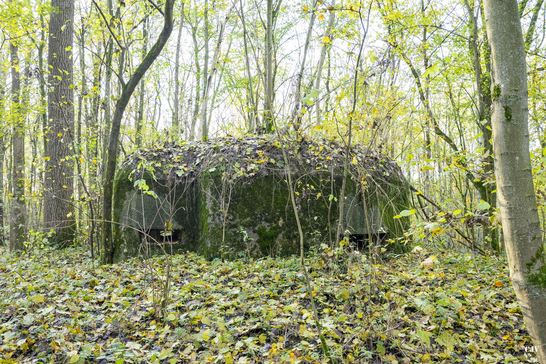 Ligne Maginot - B599 - BOIS DES ECOLIERS OUEST - (Blockhaus pour canon) - 