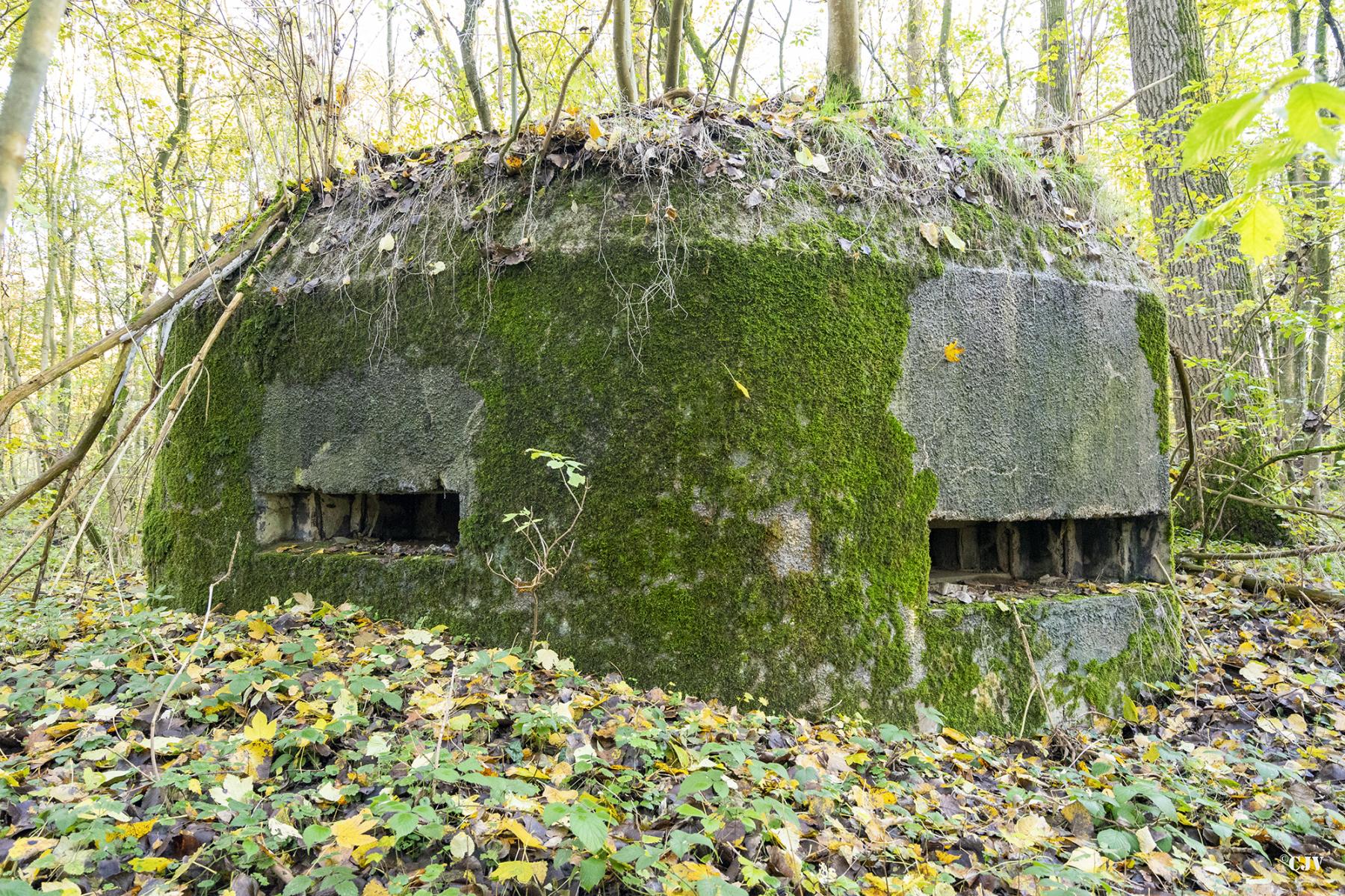 Ligne Maginot - B599 - BOIS DES ECOLIERS OUEST - (Blockhaus pour canon) - 