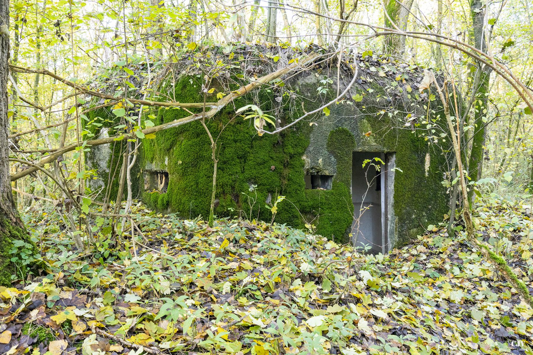 Ligne Maginot - B599 - BOIS DES ECOLIERS OUEST - (Blockhaus pour canon) - 