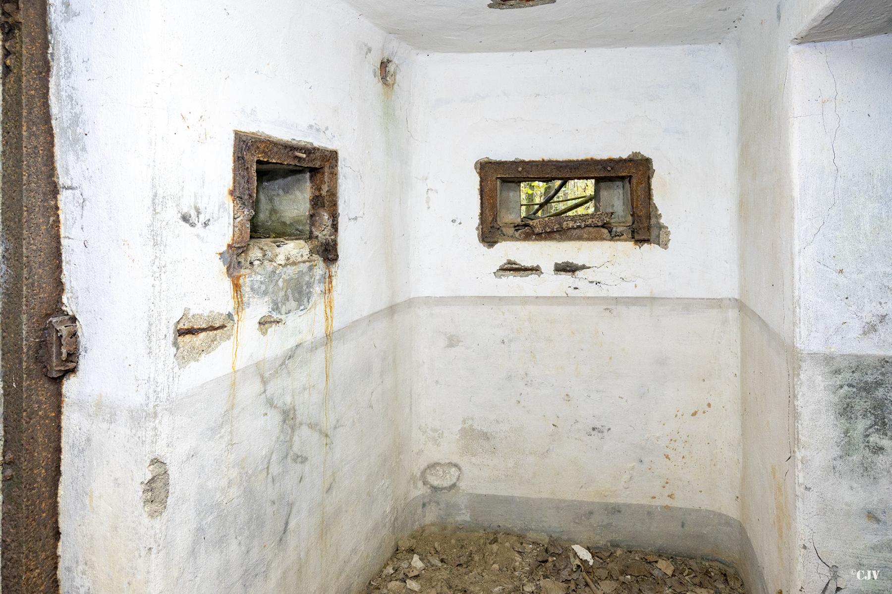 Ligne Maginot - B599 - BOIS DES ECOLIERS OUEST - (Blockhaus pour canon) - 
