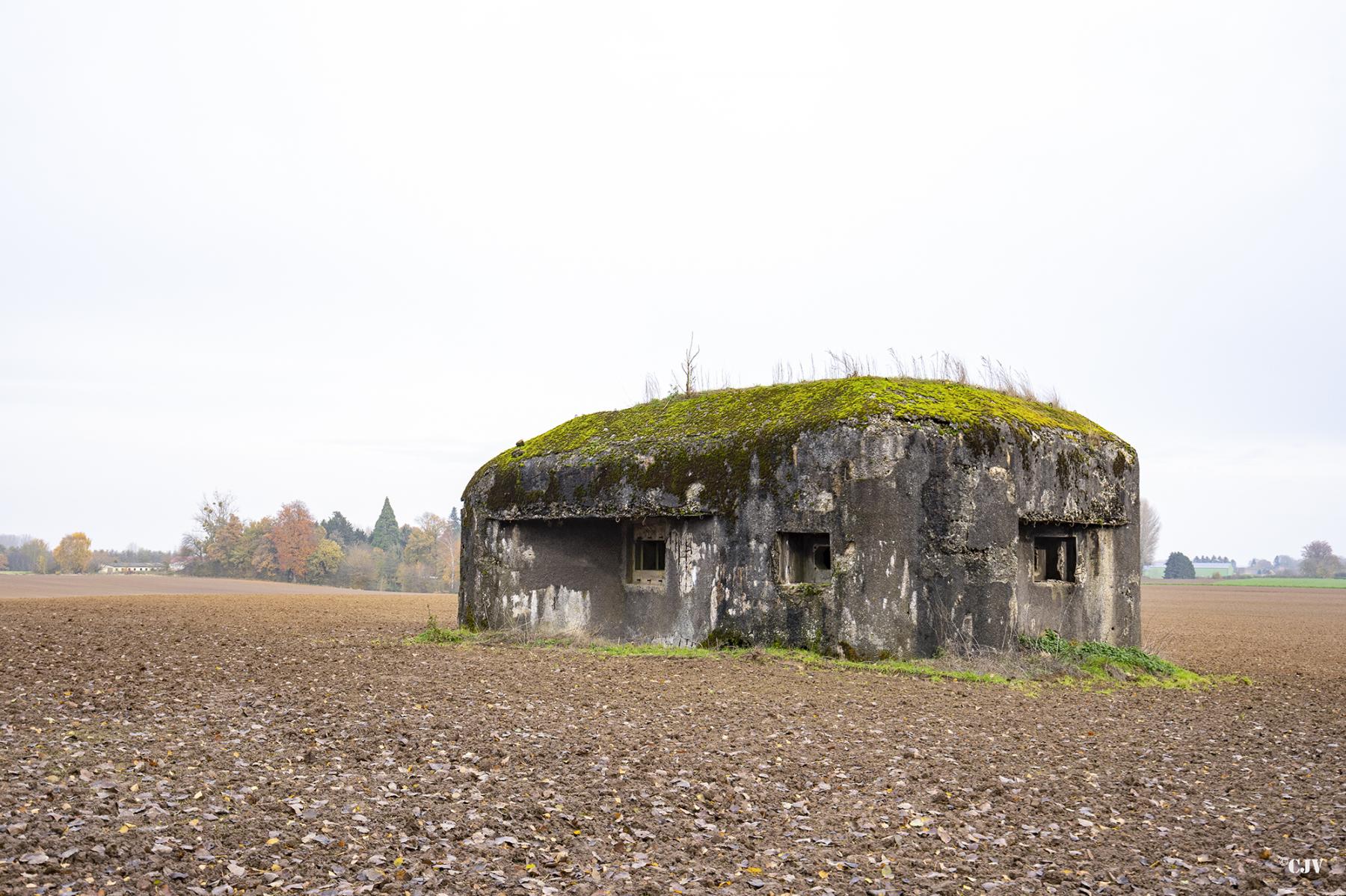 Ligne Maginot - B600 - BOIS DES ECOLIERS EST - (Blockhaus pour canon) -  - Lia VERMEULEN